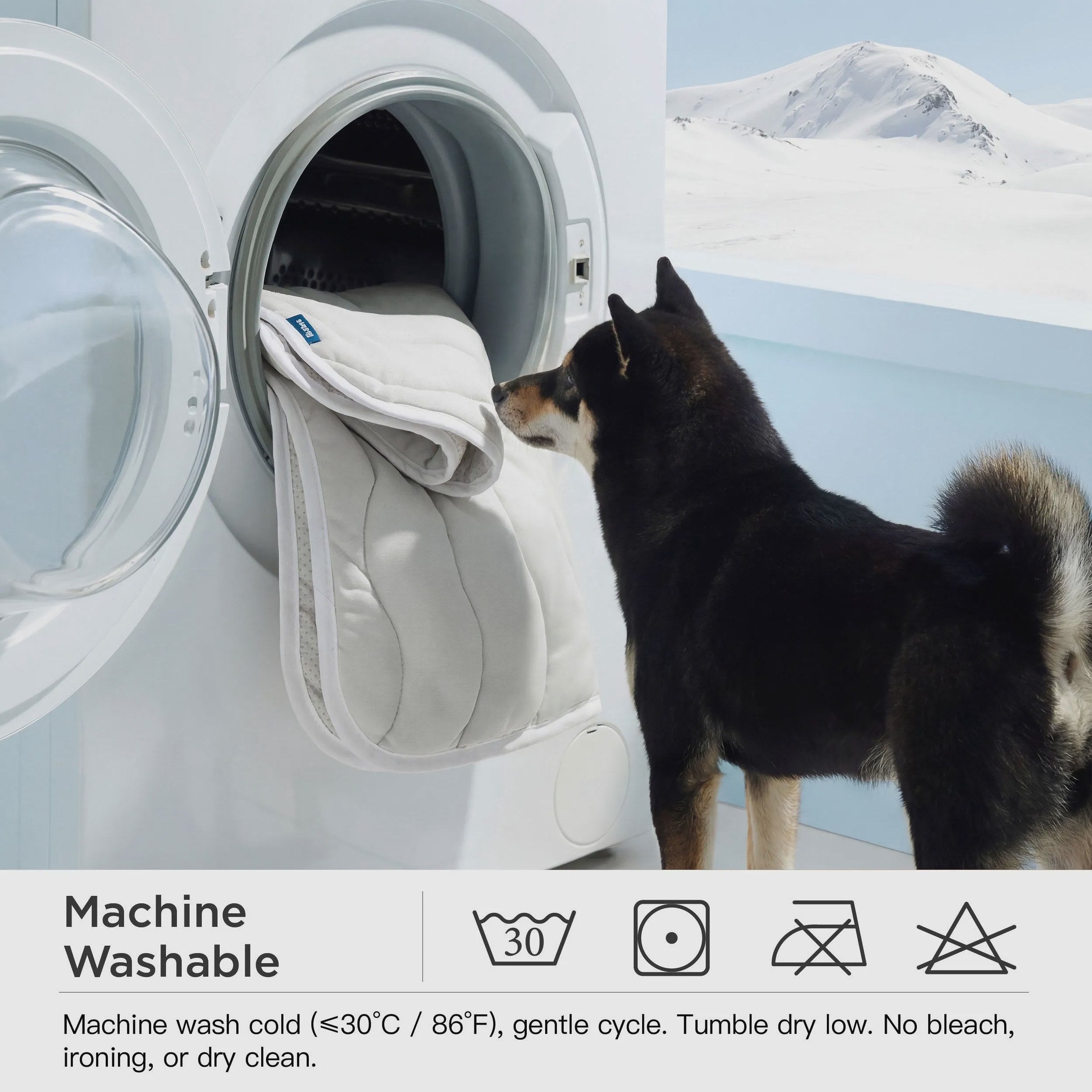 Wave Cooling Mat for Dogs