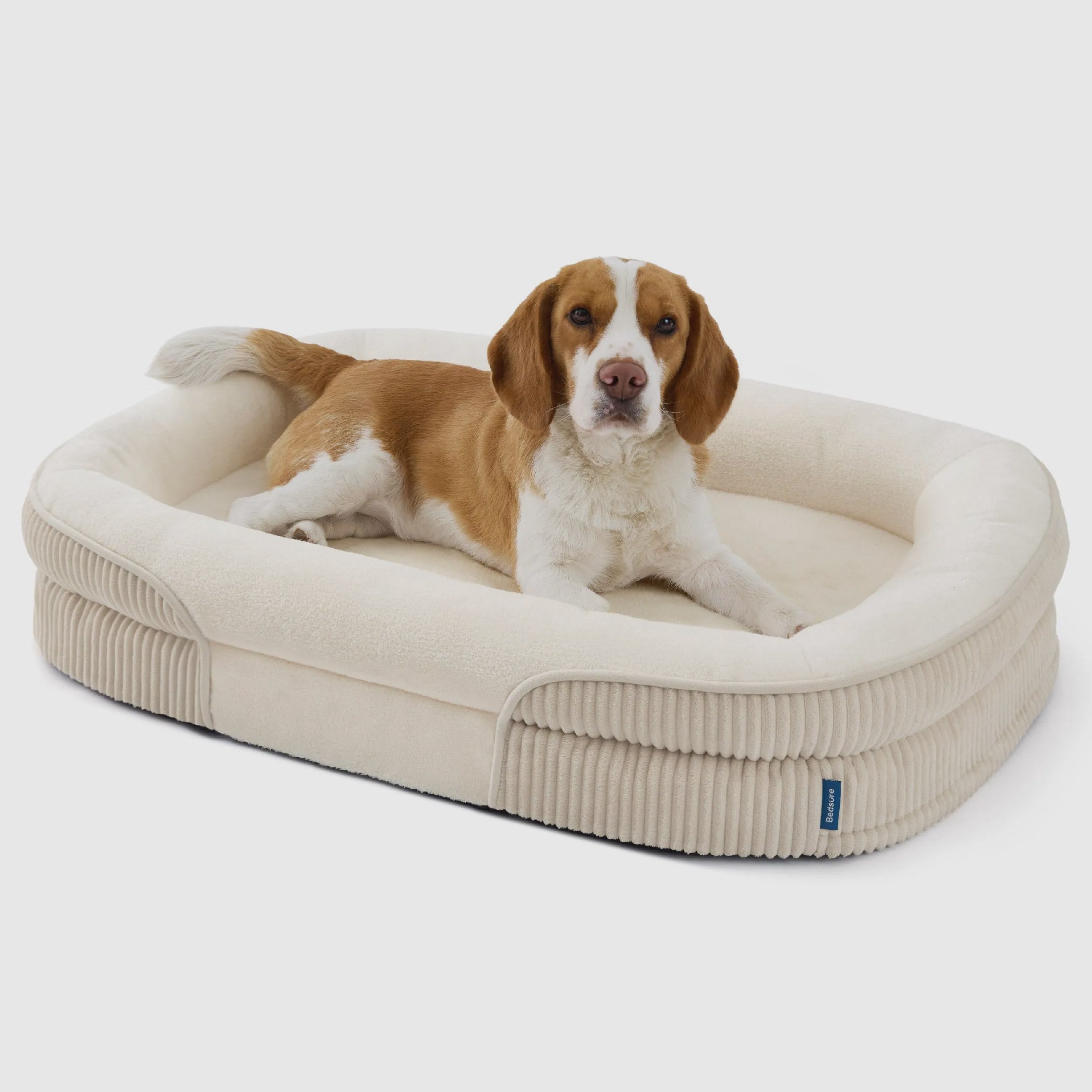 Oval Bolster Dog Bed