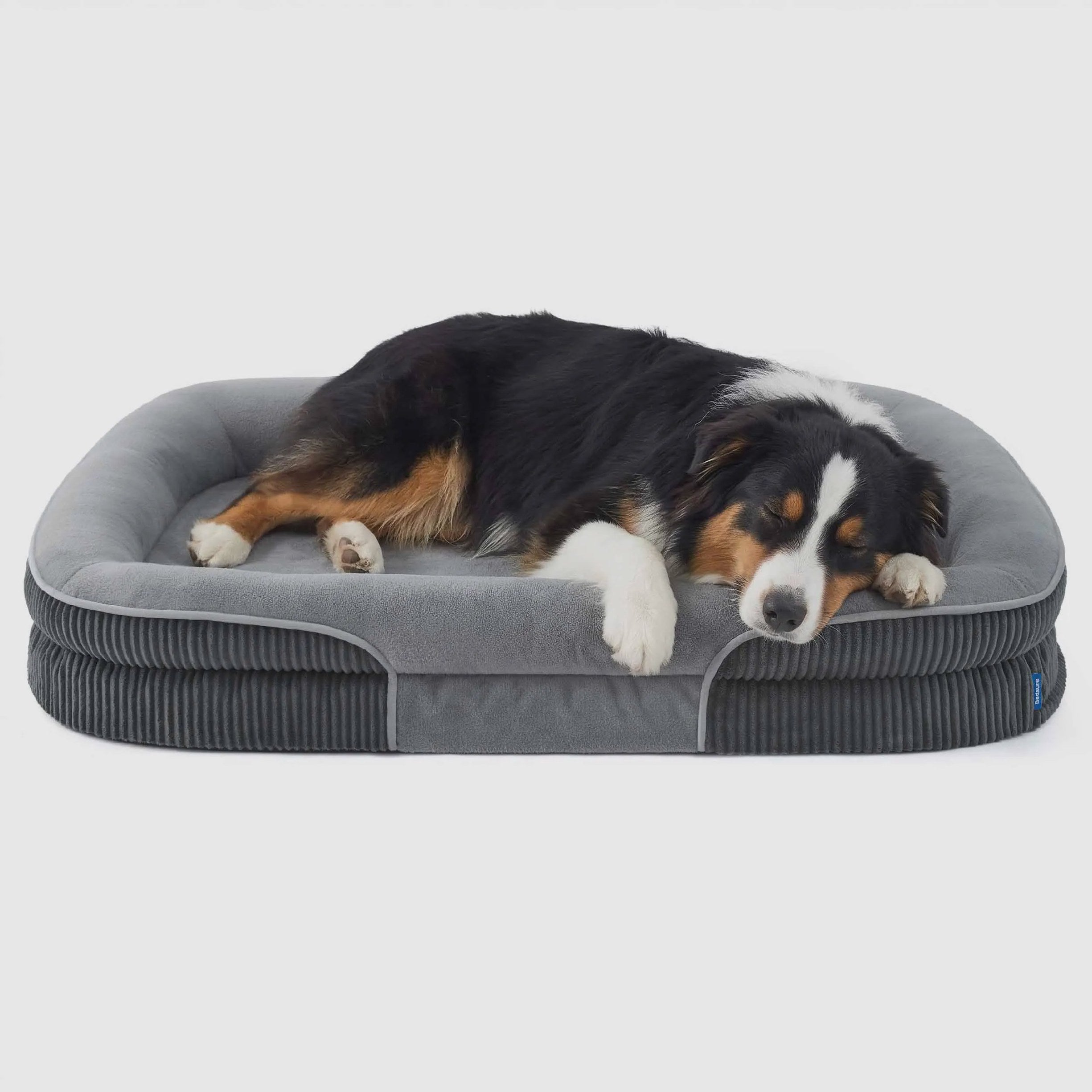 Oval Bolster Dog Bed