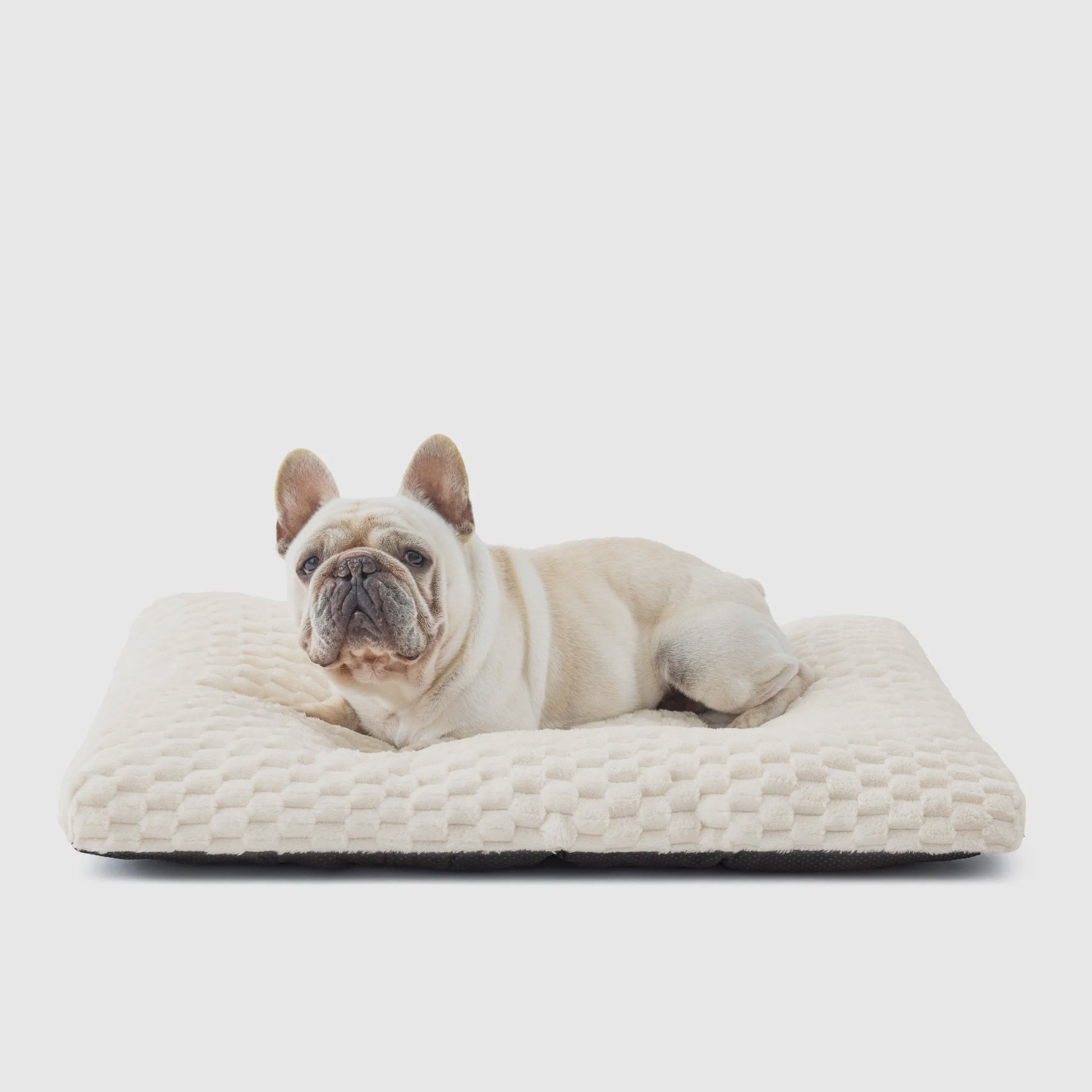Plush Bubble Fleece Dog Bed
