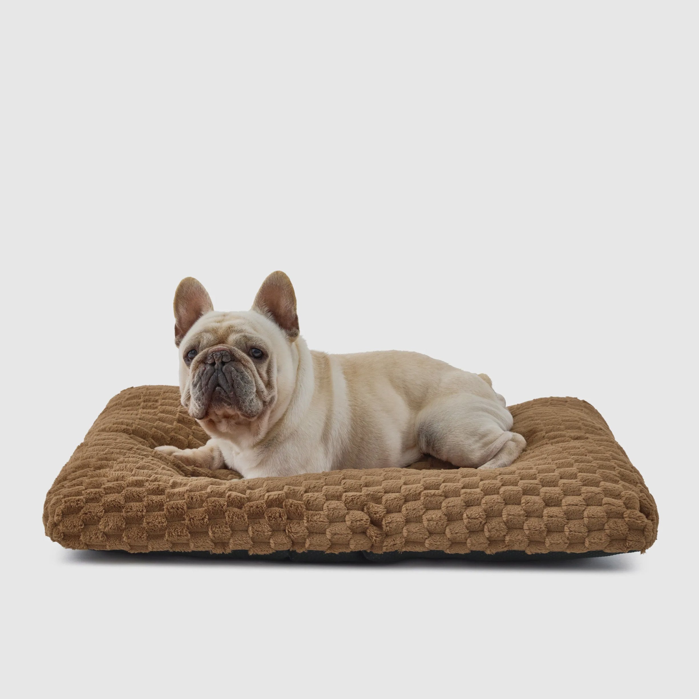 Plush Bubble Fleece Dog Bed