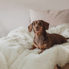 Luxurious Faux Fur Throw Blanket
