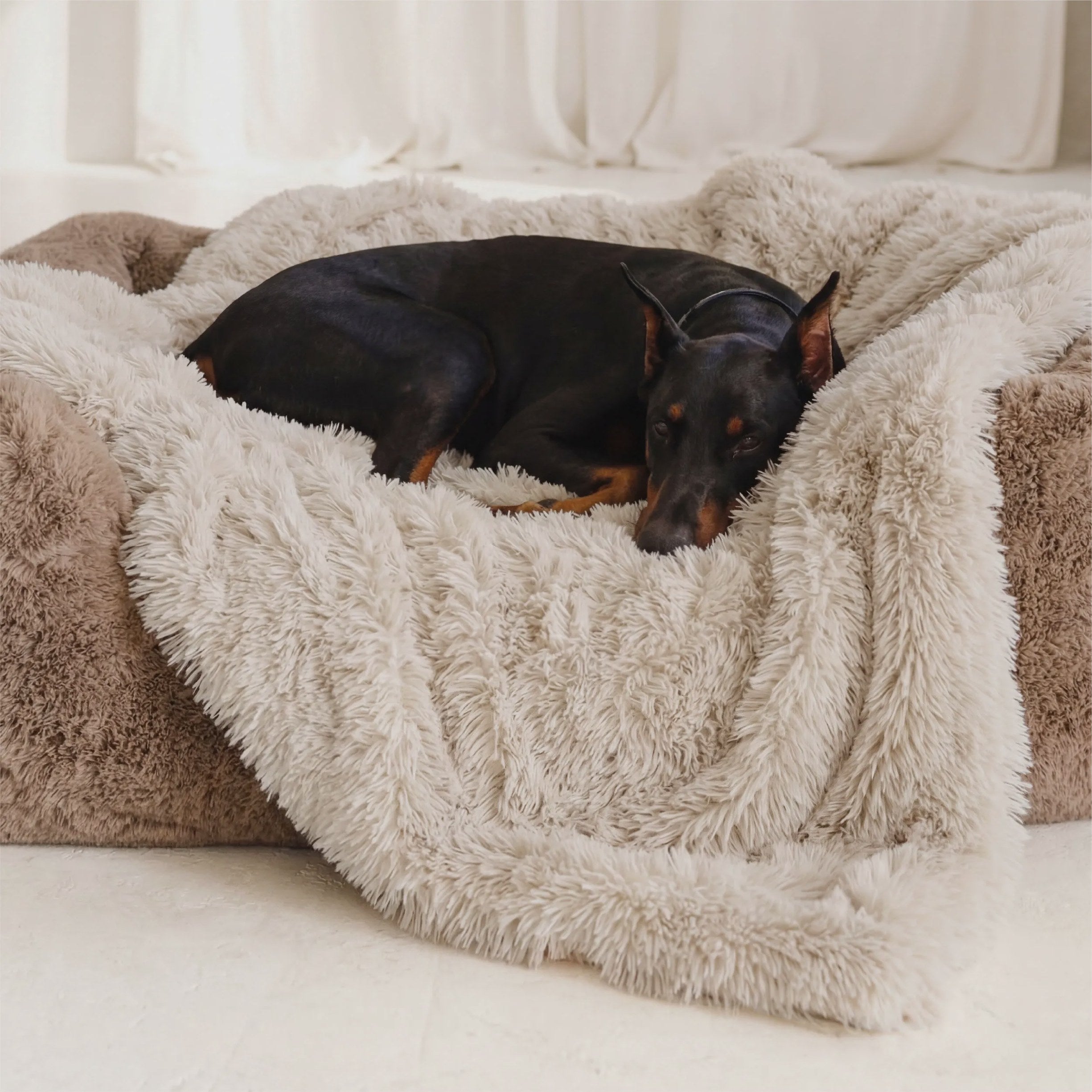 Luxurious Faux Fur Throw Blanket