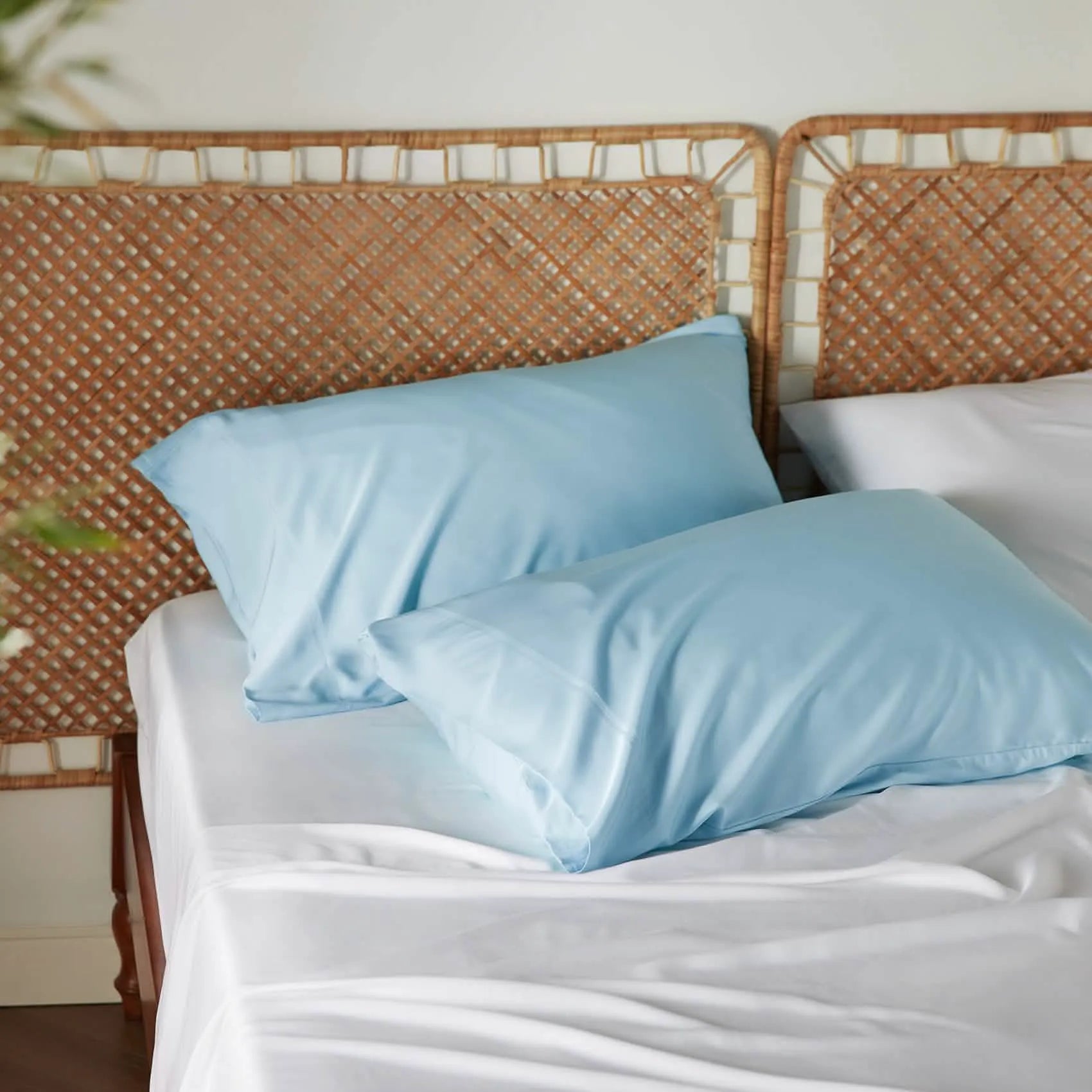 Bamboo Rayon Pillowcases