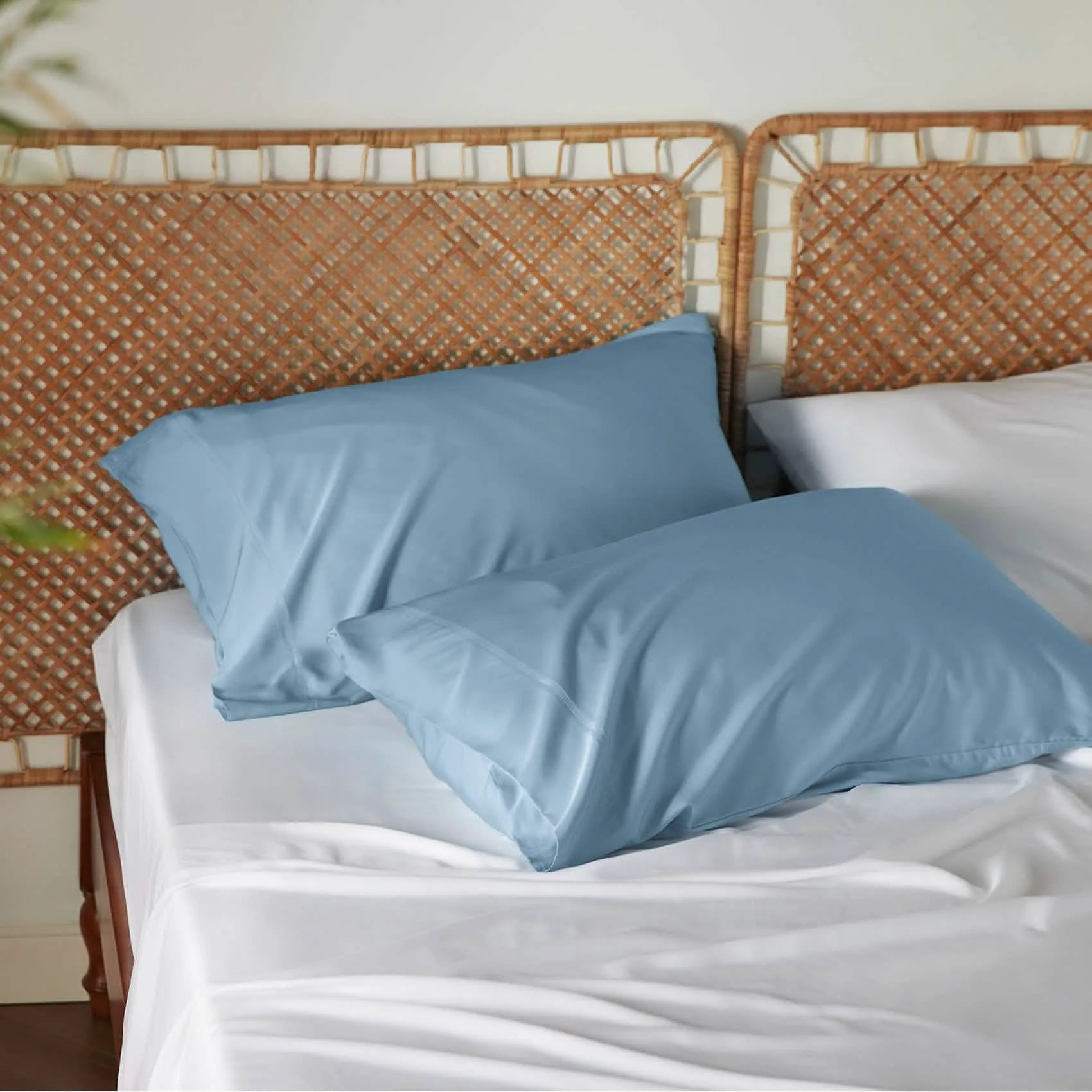 Bamboo Rayon Pillowcases