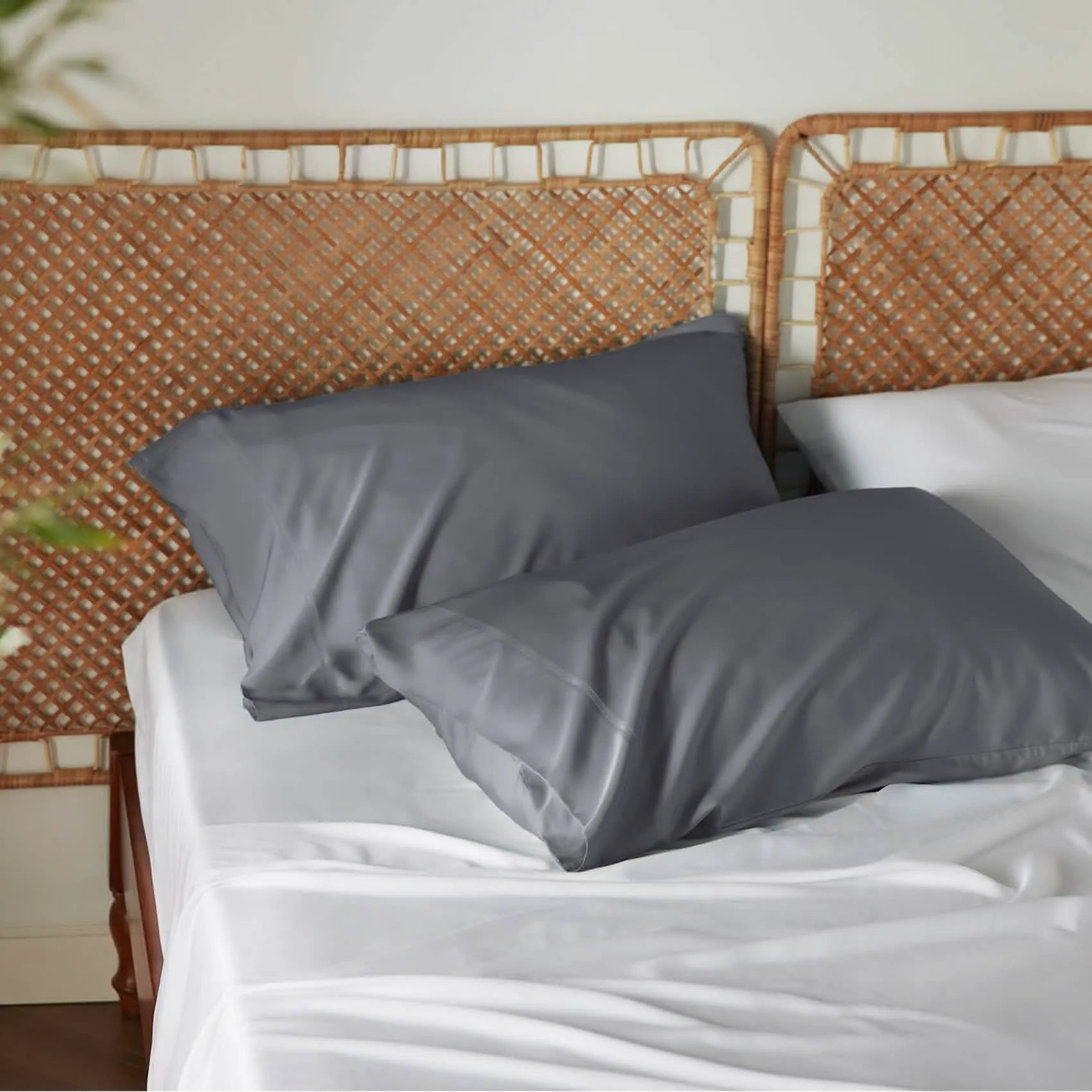 Bamboo Rayon Pillowcases