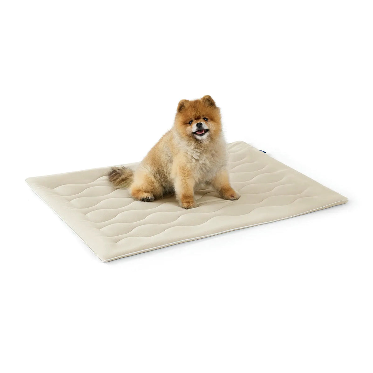 Textured Cooling Blanket for Pets