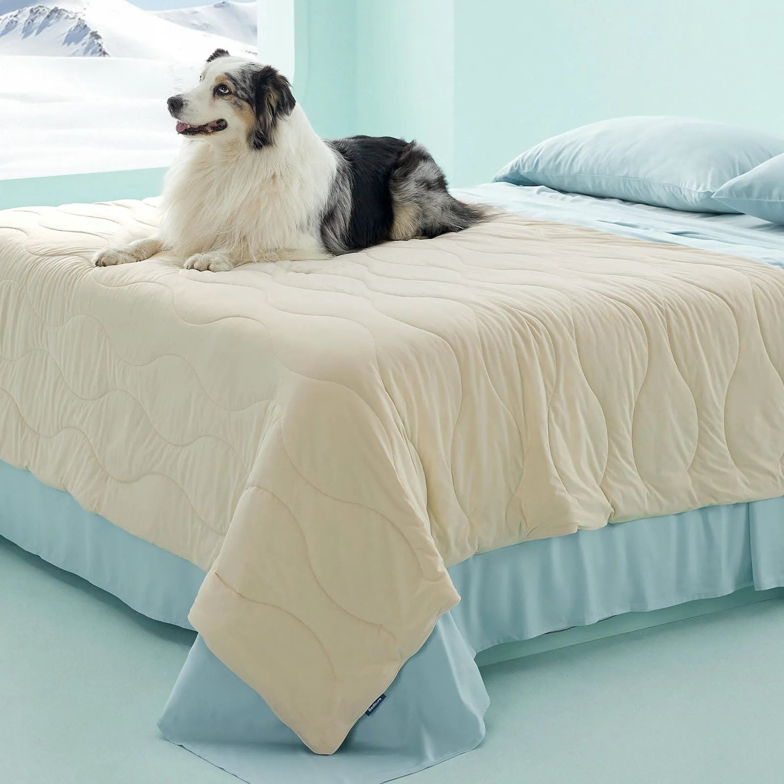Textured Cooling Blanket for Pets
