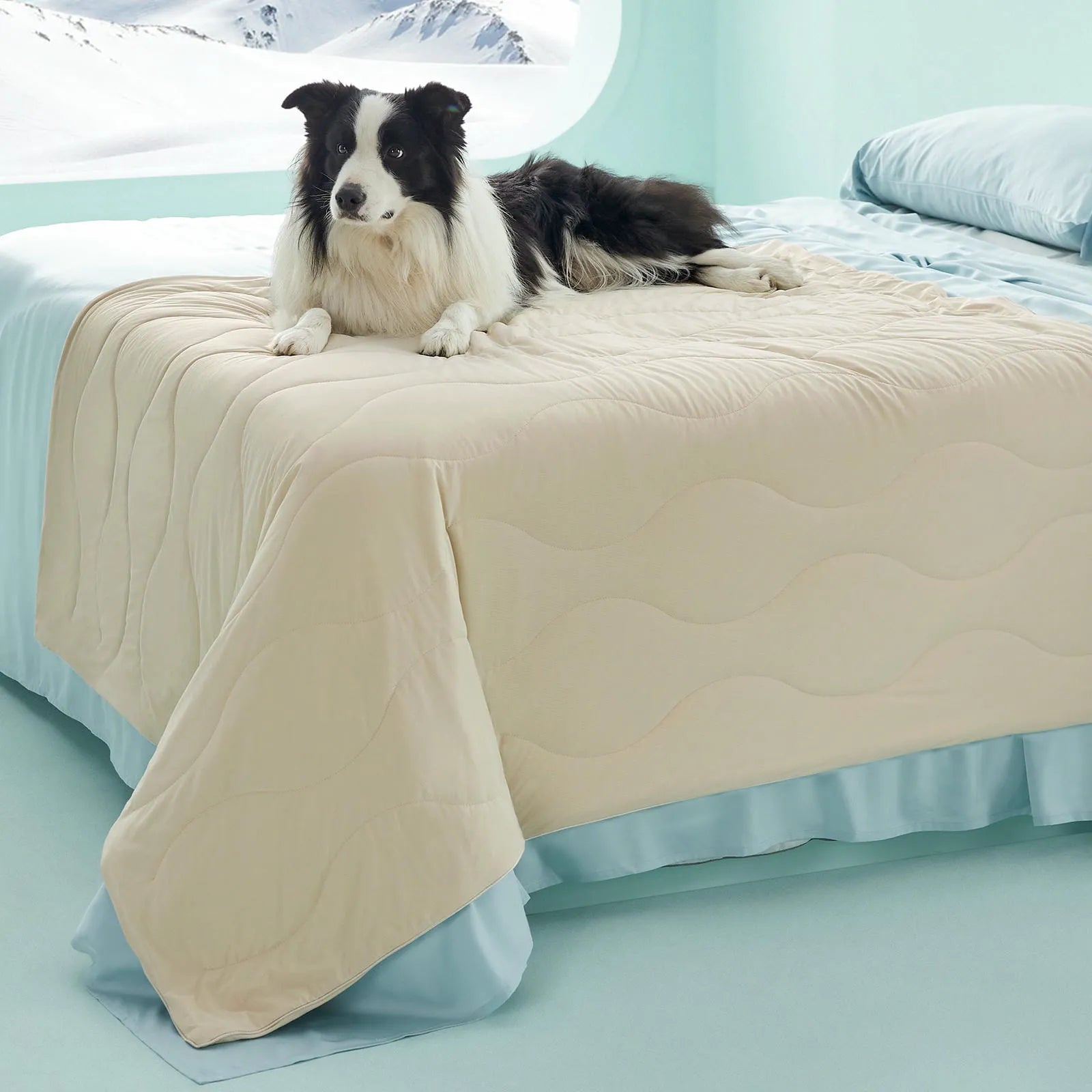 Textured Cooling Blanket for Pets