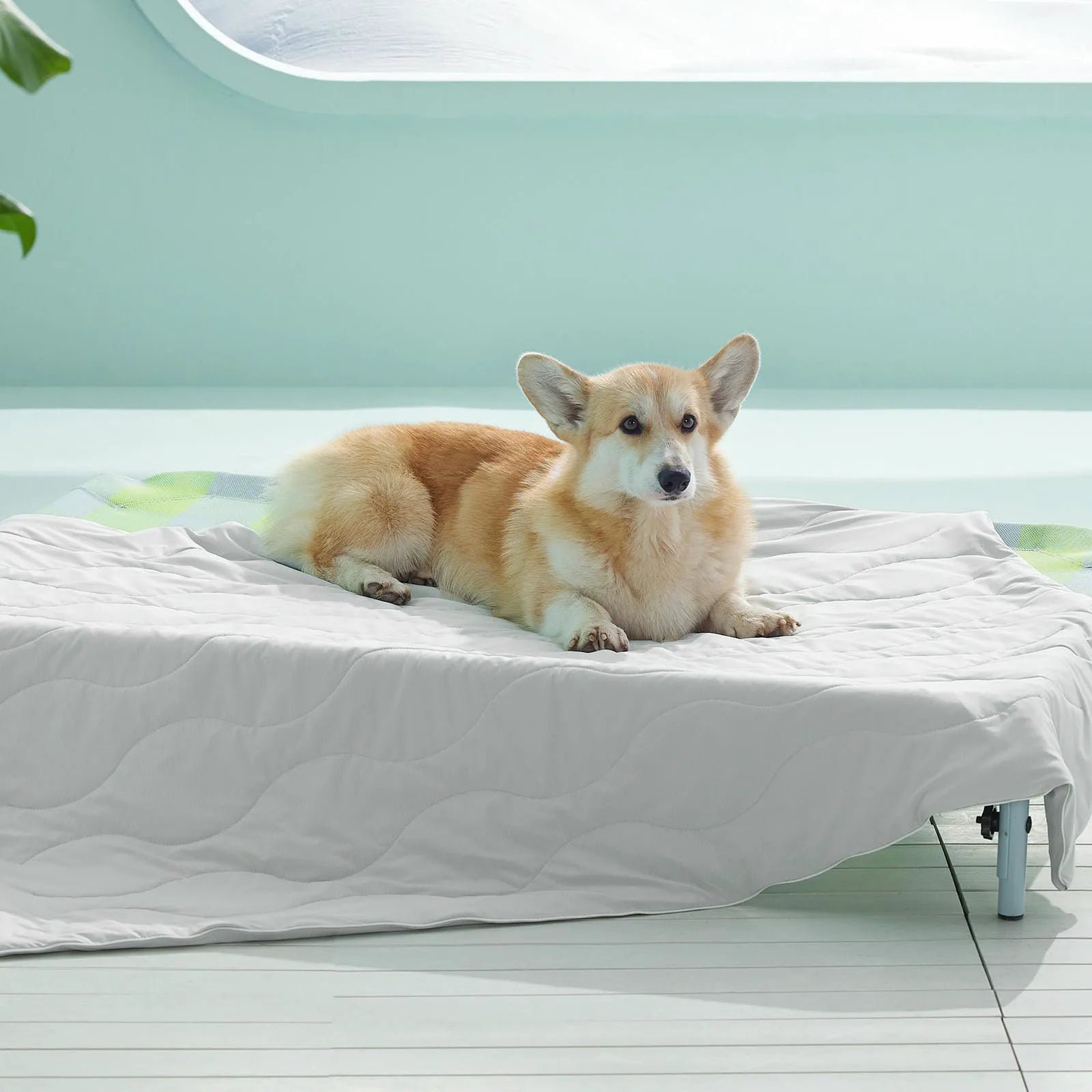 Textured Cooling Blanket for Pets