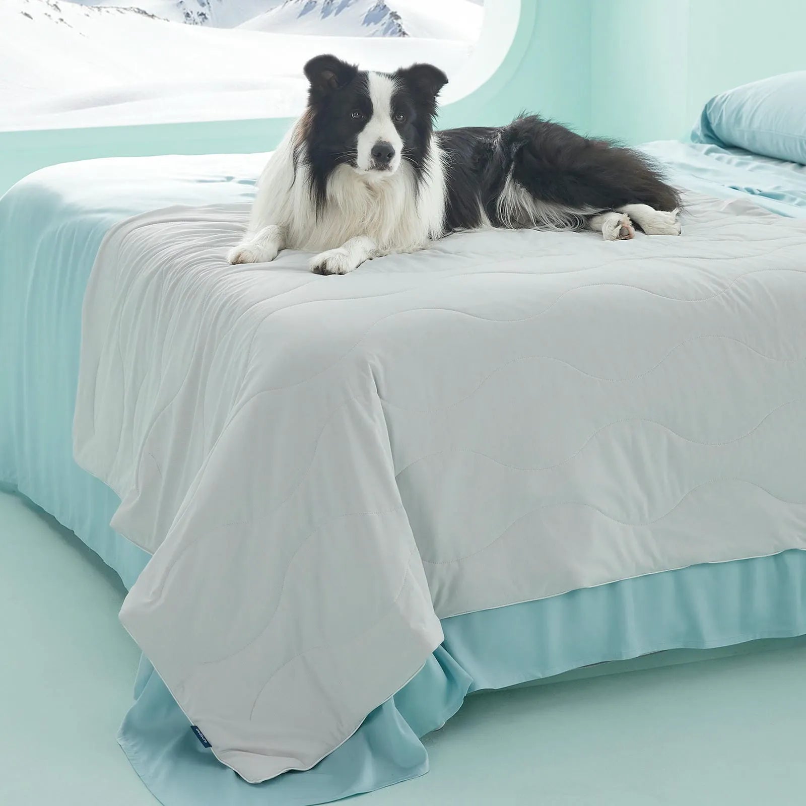 Textured Cooling Blanket for Pets