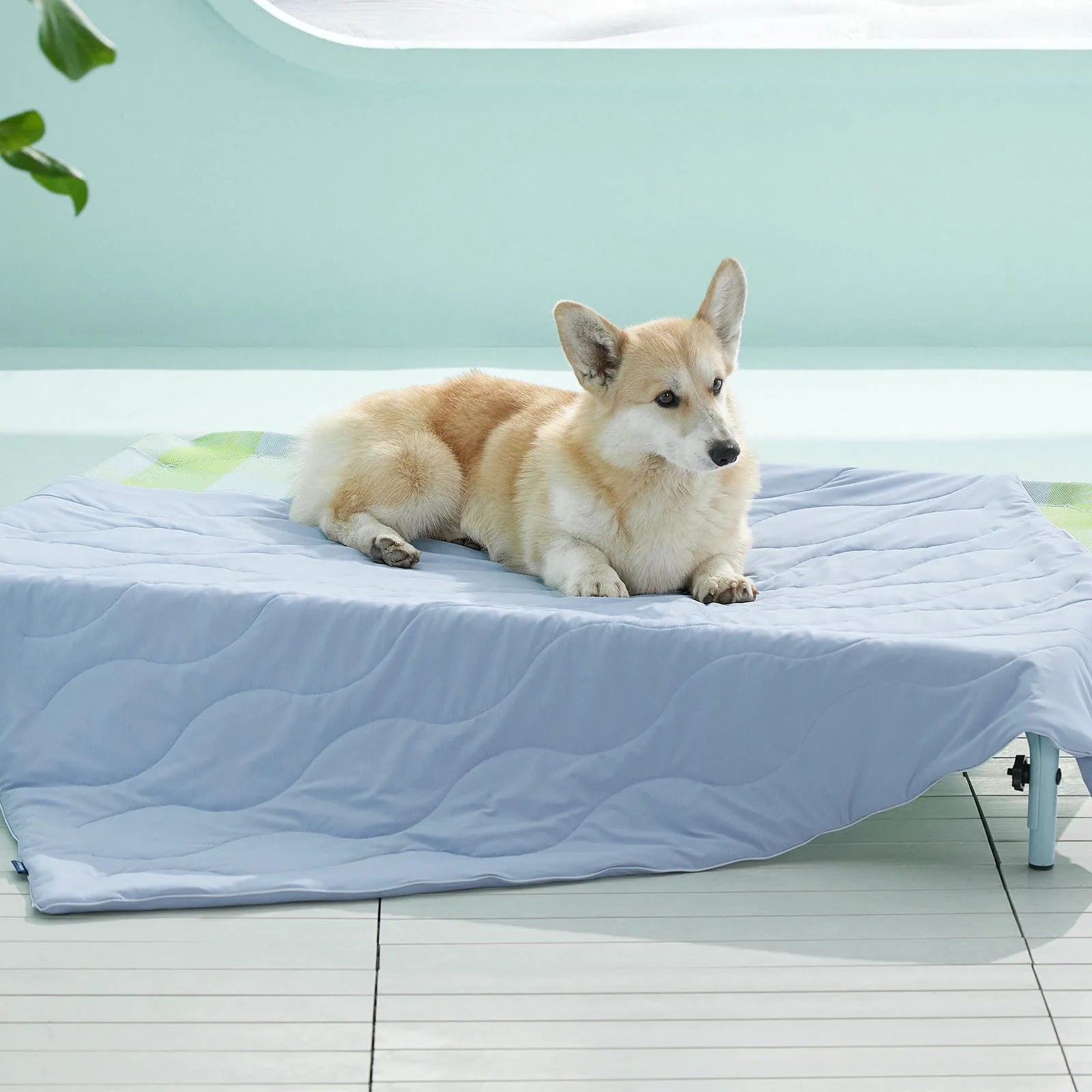 Textured Cooling Blanket for Pets
