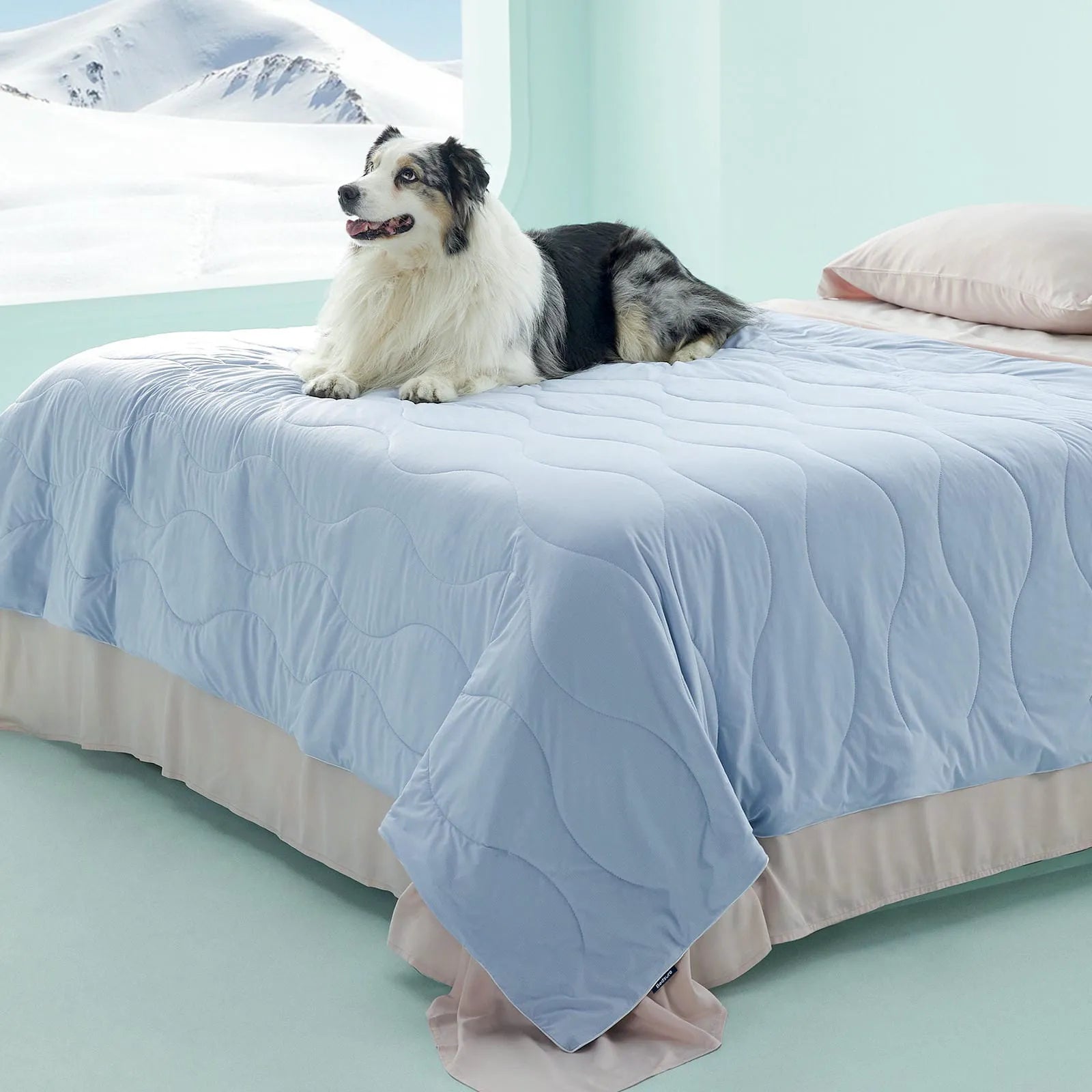Textured Cooling Blanket for Pets