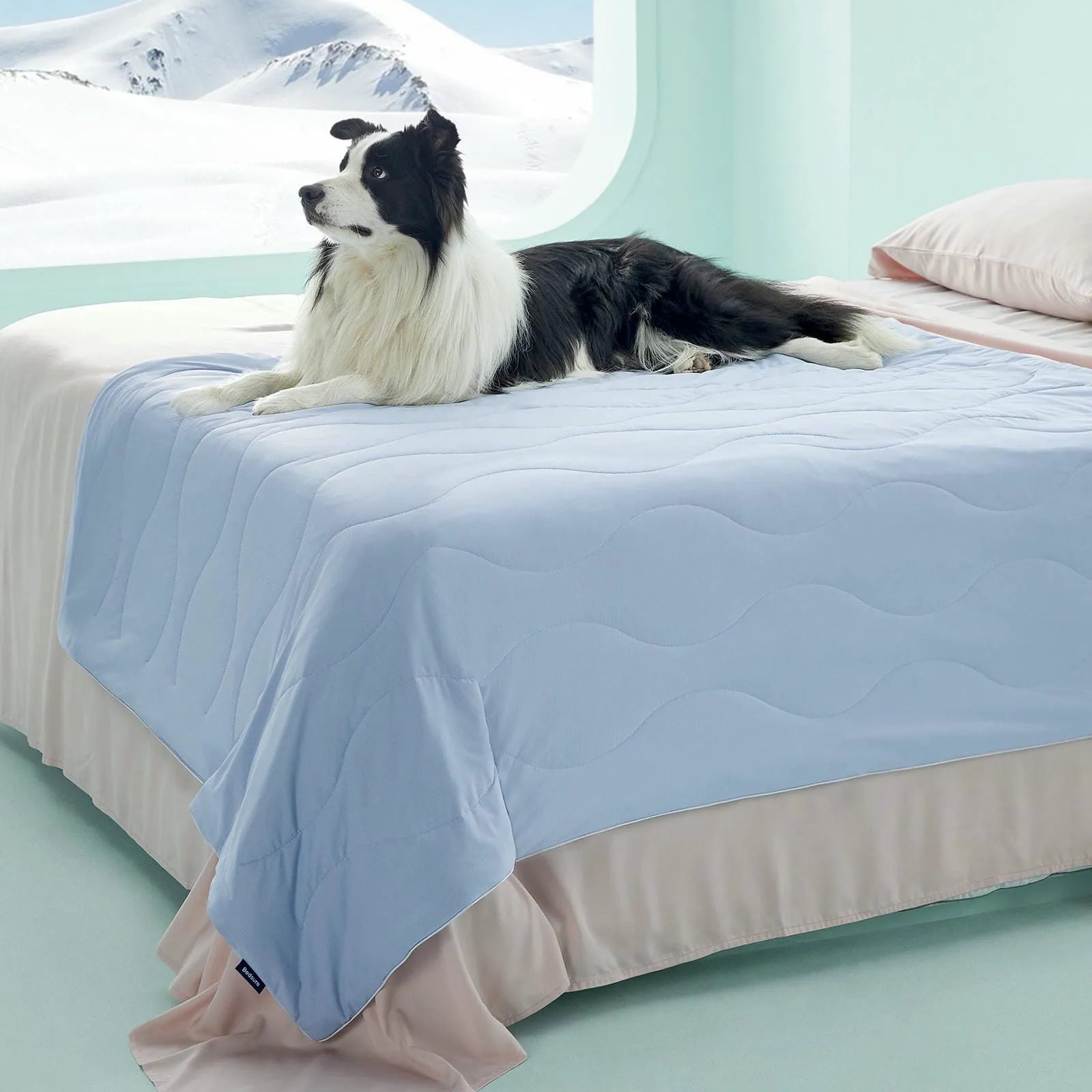 Textured Cooling Blanket for Pets