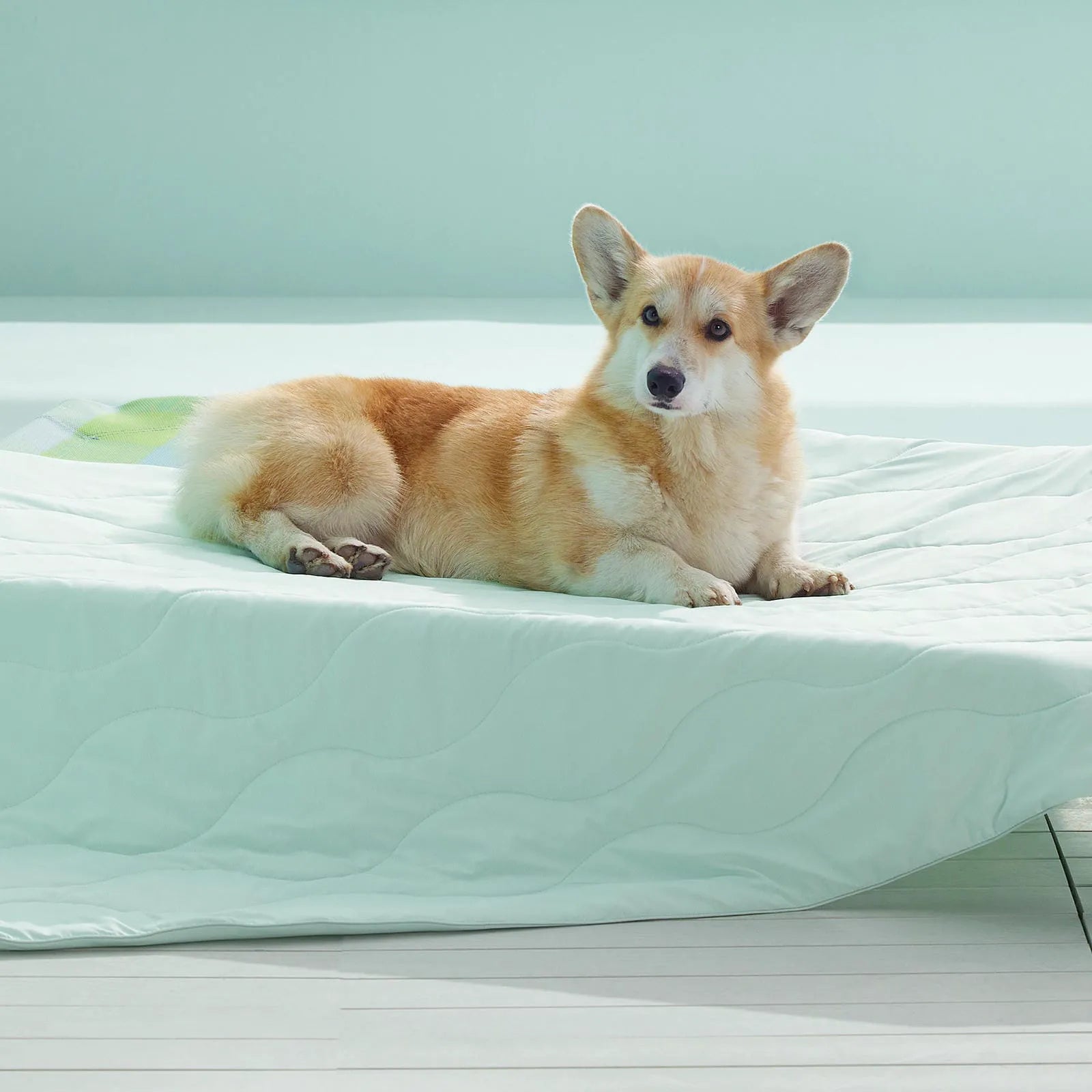 Textured Cooling Blanket for Pets