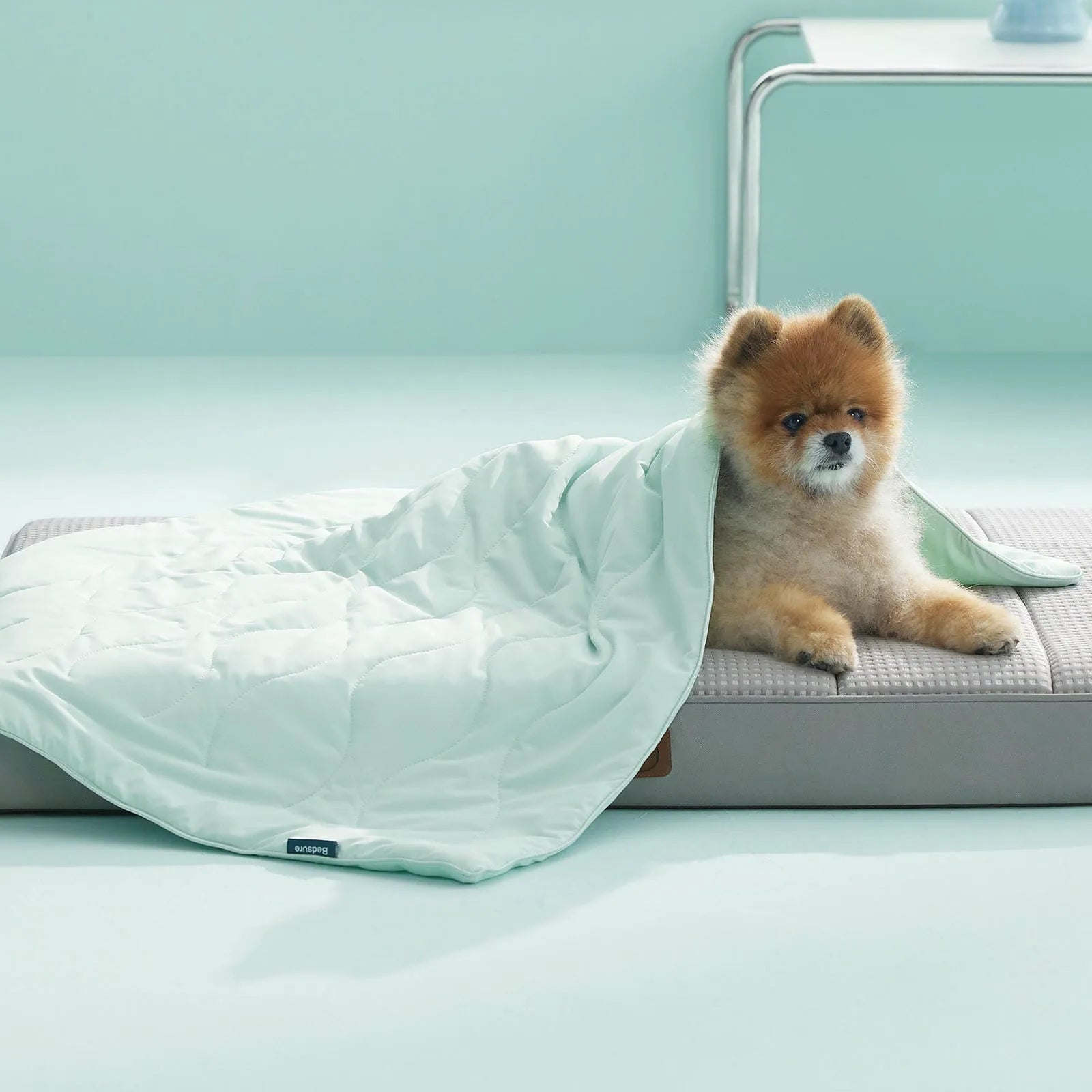 Textured Cooling Blanket for Pets